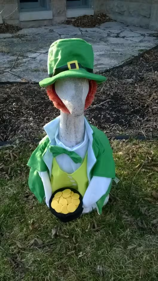 Goose treasure